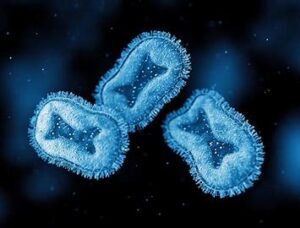 monkeypox cell