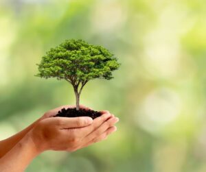 sustainability